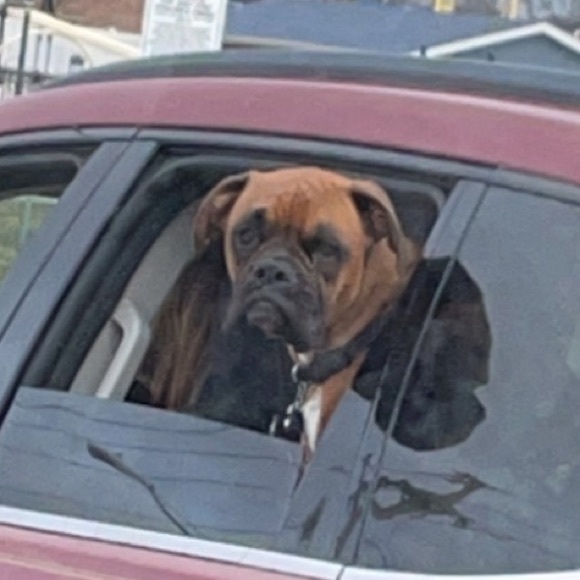 Meet your Posher, Chad - Picture 1 of 1